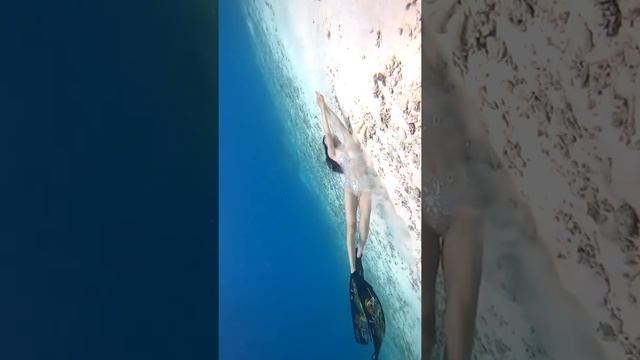 Catch ?♀️? Beautiful Swimming Mermaid ( Whale, Shark, Fish, Piranha ) | Tik Tok #1