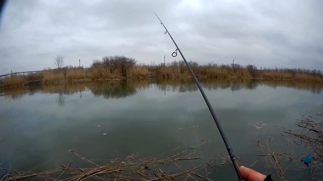 Открытие сезона 2019. Окунь на отводной поводок. смотреть онлайн