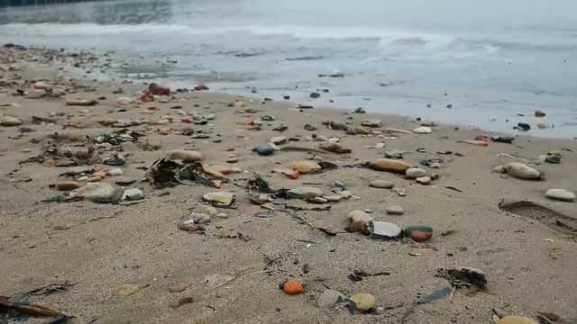 NEXTGEN UNREAL ENGINE 5 Demo with Realtime Water Physics (Brushify - Beach Pack) #GameDev #UE5 смотреть онлайн