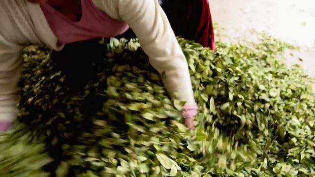 World’s Most Dangerous Roads | Bolivia - The Road to Death in the Andes | Free Documentary смотреть онлайн