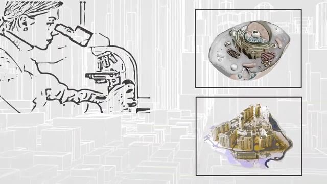 Рисованное Видео на заказ Город — Клетка смотреть онлайн