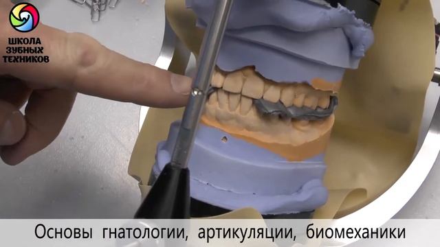 Основы гнатологии, биомеханики и артикуляции. В.В. Баданин. Практический курс смотреть онлайн