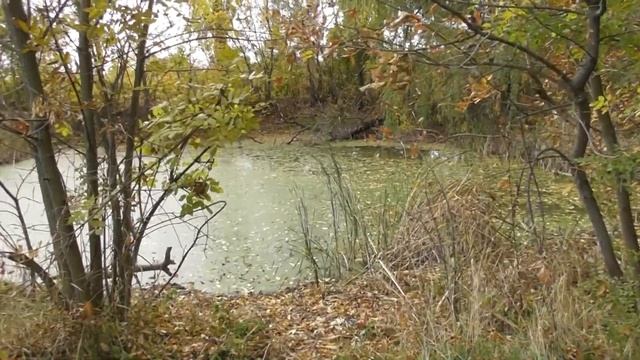 парк "Веселые терны" 2 часть смотреть онлайн