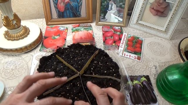 Пересадила петуньи в кашпо, посеяла помидоры, купила лук-севок и потренировалась. смотреть онлайн