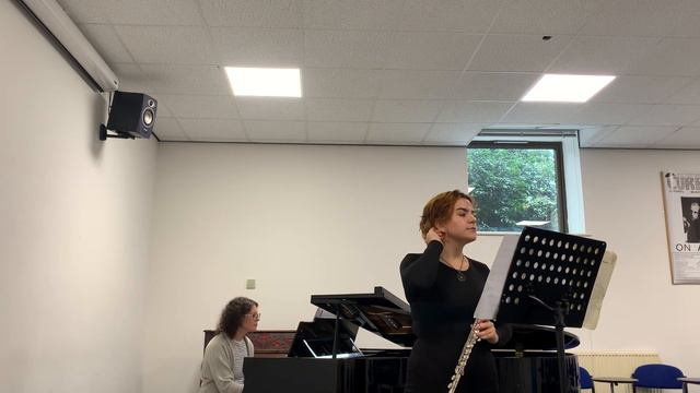 Flute Concerto no. 2 in D major, Allegro Aperto - Mozart смотреть онлайн