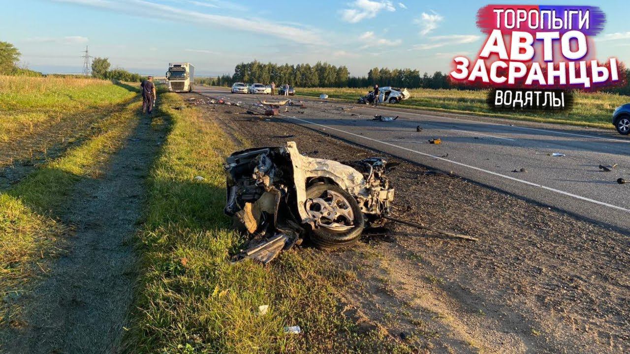 Торопыги! Отсутствие мозгов и мышления смотреть онлайн