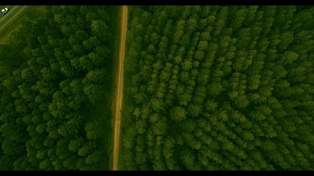 Glass House Mountains State Forest смотреть онлайн