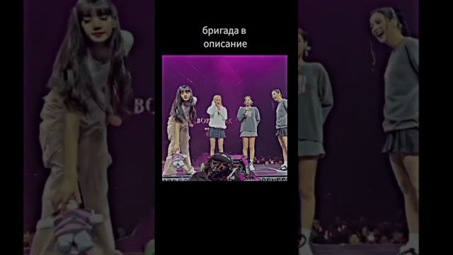 Лиса из BLACKPINK заметила игрушку в которой обнаружила камеру и убрала её со сцены смотреть онлайн