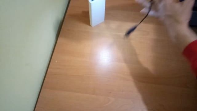 Redragon Phaser.Обзор Мышки за 10$.