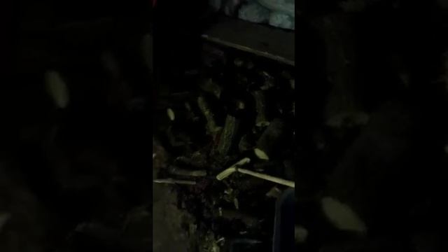 Вомер 200 Преміум с Брідки Відгук власника смотреть онлайн
