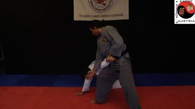 Sin Moo Hapkido Grüngurt Trailer Center Zmugg смотреть онлайн