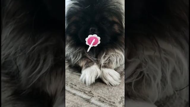 Тебе, мне😃😃 смотреть онлайн