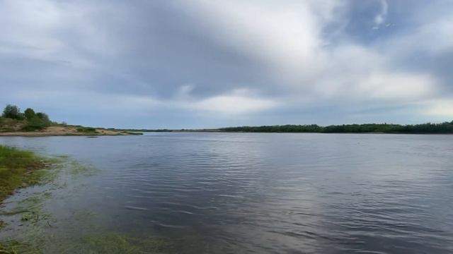 Жена поймала ЩУКУ!Розыгрыш!Рыбалка в Коми на реке Печора!Клева нет!Опять заняться металлокопом?!!! смотреть онлайн