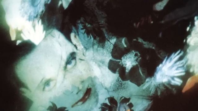 Pictures Of You (Remastered) смотреть онлайн