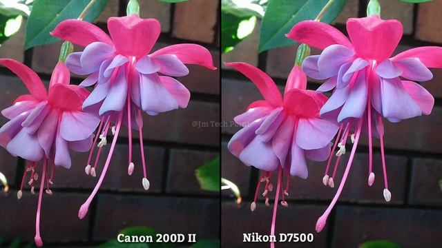 Canon EOS 200D II VS Nikon D7500 DSLR Camera Comparison ,Canon EOS 200 II Review ,Nikon D7500 Revie смотреть онлайн