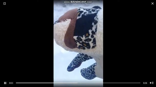 Шок! Снежный барс радуется снегу и флексит. смотреть онлайн