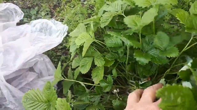 Октябрь. А вы сделали это важное, срочное и необходимое???