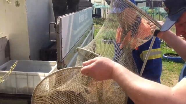 Рыбаки ловили Раков. А поймали Рыбы??? смотреть онлайн