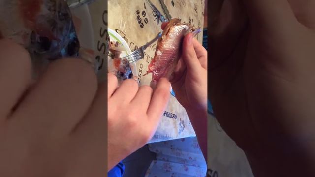 Как правильно чистить таранку смотреть онлайн