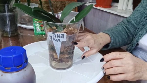 аминосил и триходерма Вериде можно ли их смешивать?