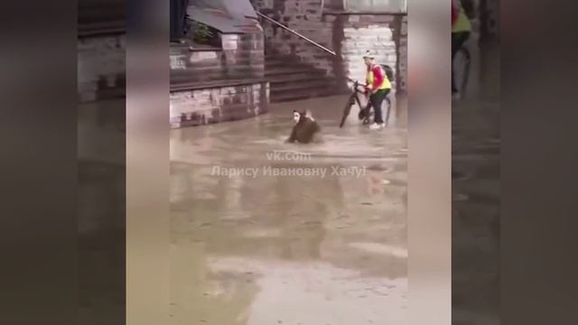 Не зная броду полезла в воду. смотреть онлайн