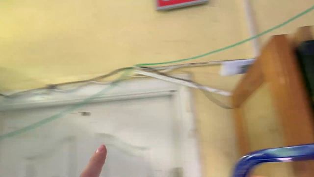 Начинаем растить гурами, пробежимся по разводне что нового ? смотреть онлайн