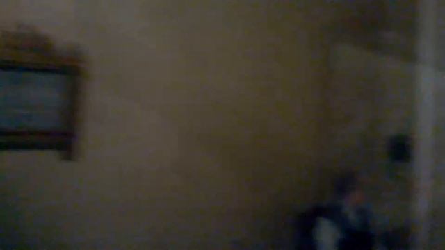 Прогулка по Эрмитажу. 24.12.2016. смотреть онлайн