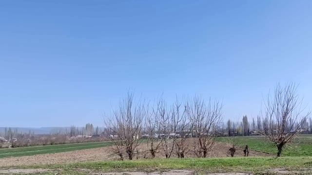 Что происходит прямо сейчас. Сводка смотреть онлайн