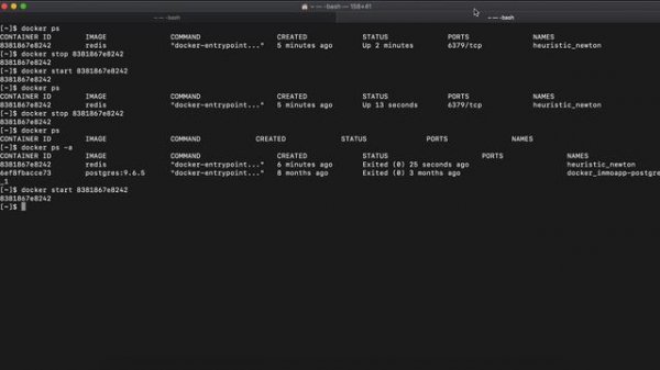 8 Basic Docker Commands __ Docker Tutorial 4