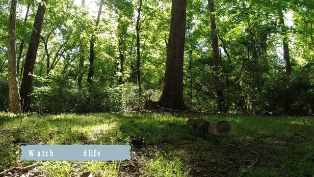 Camping Kendall, Lake Cumberland, KY смотреть онлайн