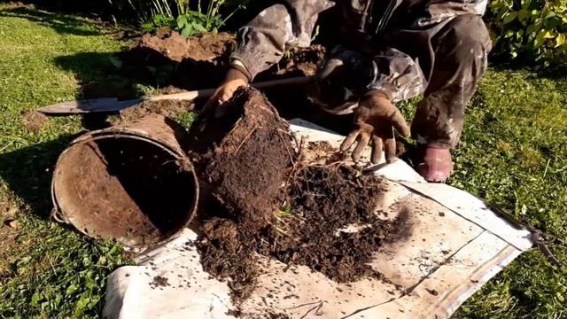 Строительные Сюрпризы