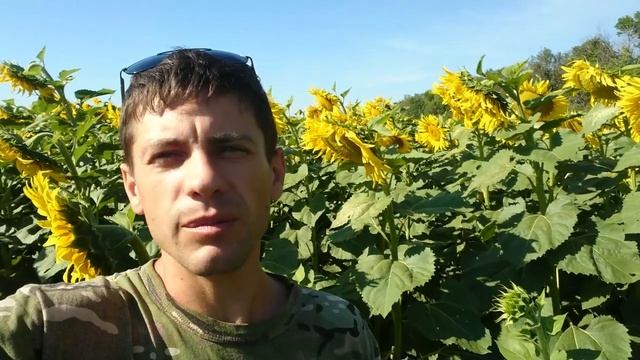 Пару слов о сезоне 2020 смотреть онлайн