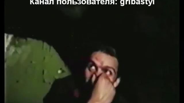 Слоновые частушки 6 смотреть онлайн