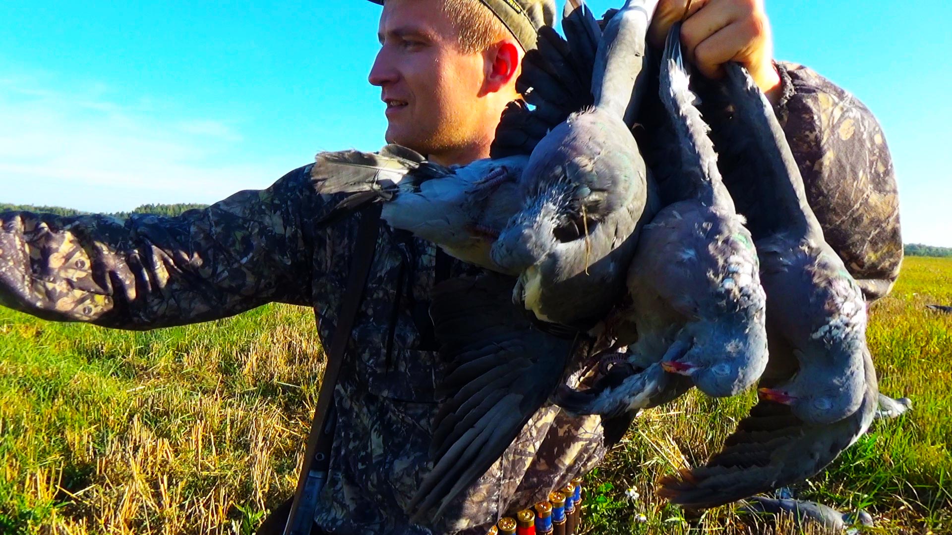 ОХОТА НА ВЯХИРЯ. ЭЛЬДОРАДО смотреть онлайн