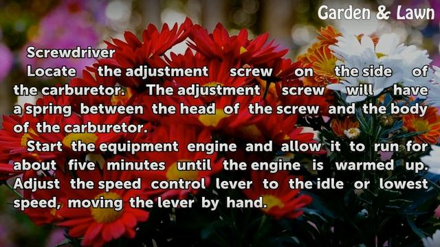 How to Adjust a Briggs & Stratton Carburetor смотреть онлайн