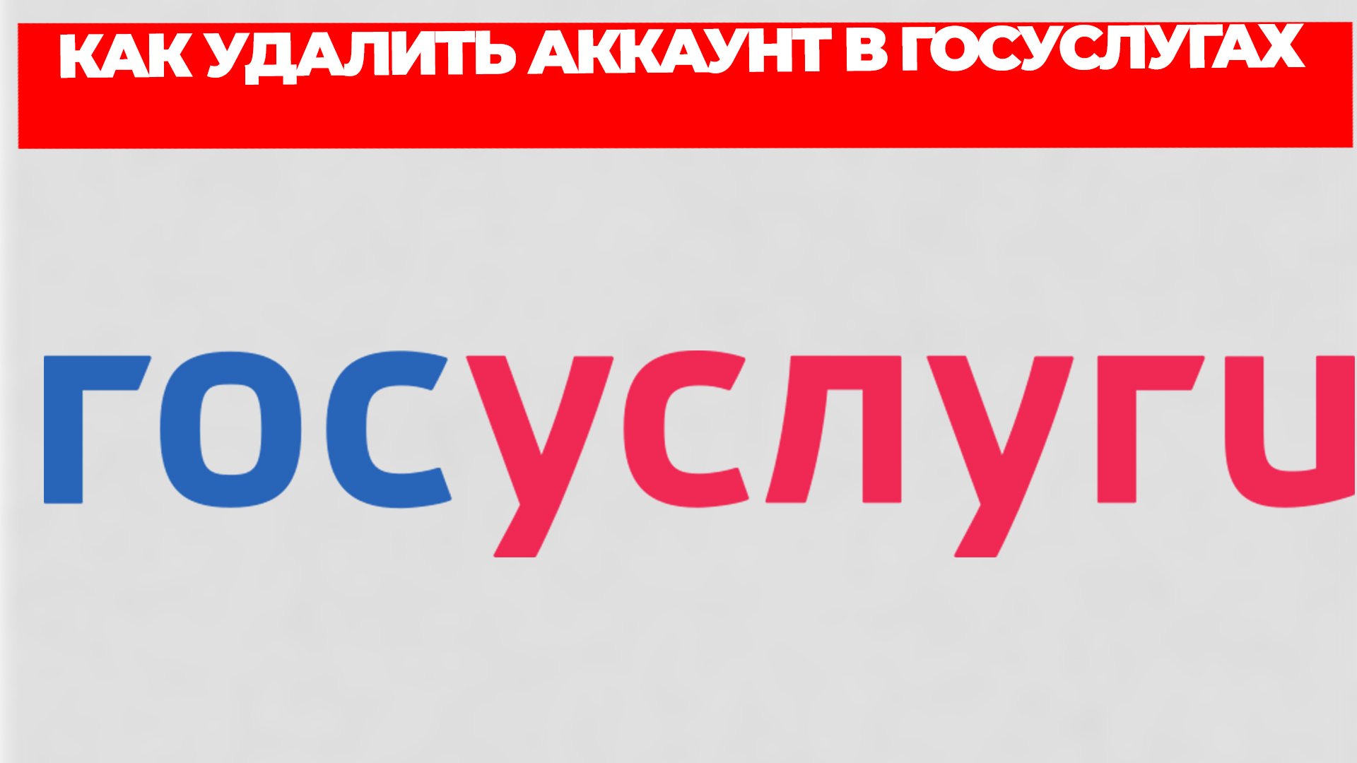 Всезнающий Енот