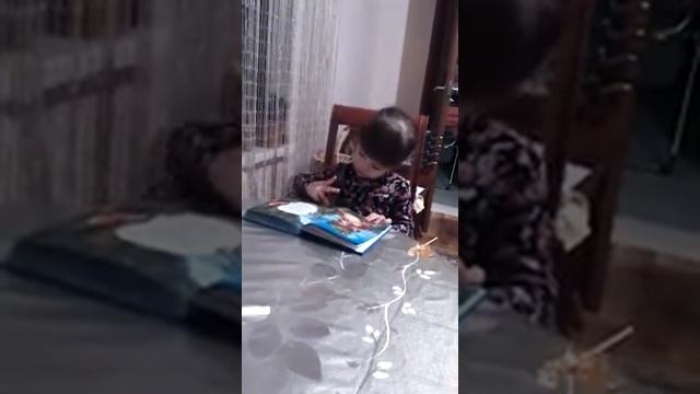 Медведь косолапый по лесу идет смотреть онлайн
