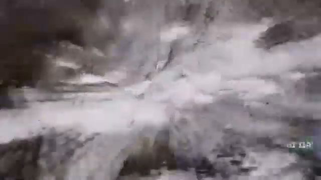 борьба плохой парень рядом с дерево смотреть онлайн