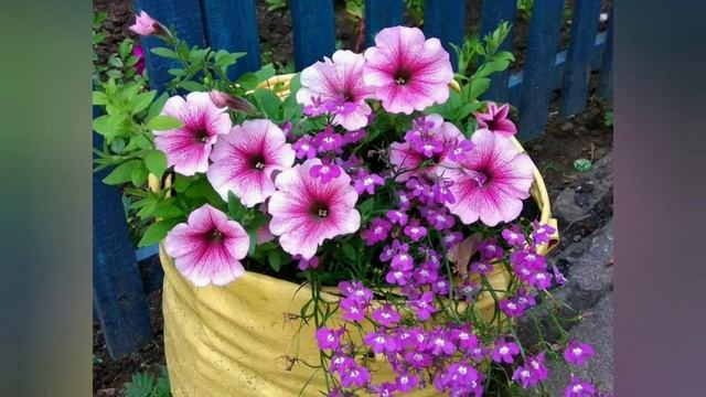 5. Калейдоскоп моих работ за 2020 год. Часть 2. Лоскутное шитьё. Пэчворк. Квилтинг. Вышивка смотреть онлайн