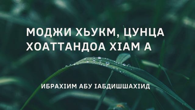 Моджи хьукм, цунца хоаттандоа хIам а смотреть онлайн