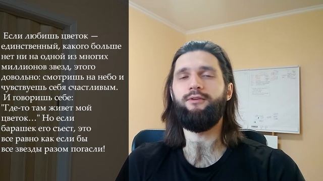 Читаем цитаты Маленький принц. Разбор цитат. Часть 1 смотреть онлайн