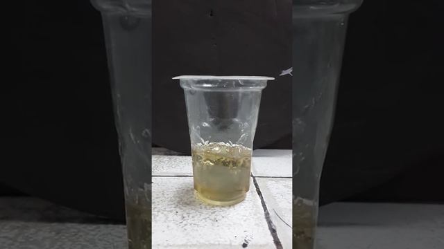 Polyester Paint Drying Reaction смотреть онлайн