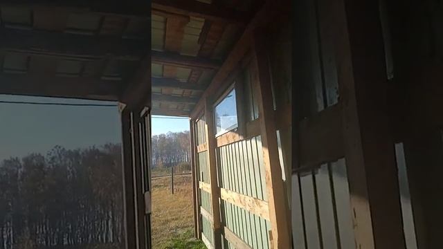 громадный навес,защита от дождя и снега..профлист..железные столбы. смотреть онлайн