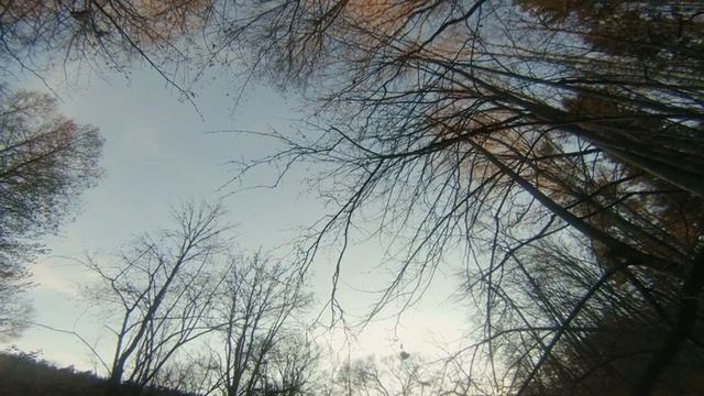 Бобровая хата|Река Колпита 2019 смотреть онлайн