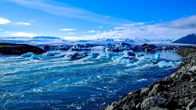 Béla Bartók Violin Concerto No. 2, BB 117, 1st & 2nd Mov.