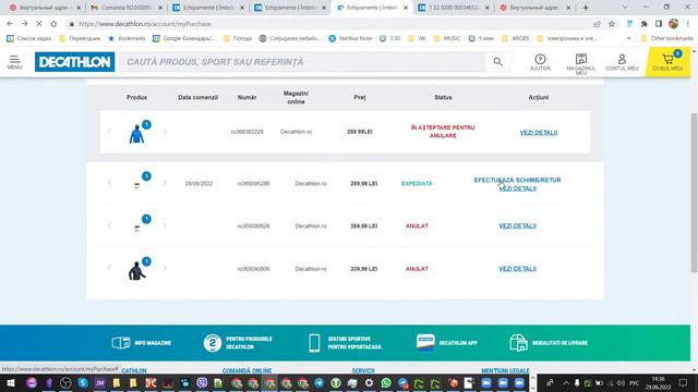 Как заказать с магазина decathlon.ro из Румынии в Молдову смотреть онлайн