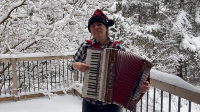 Winter Wonderland - accordion / dragspel смотреть онлайн