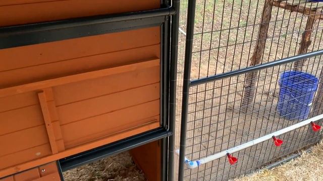 Producer's Pride Defender Chicken Coop смотреть онлайн