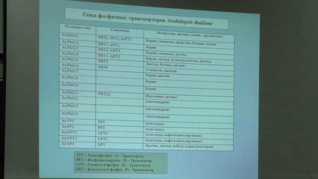Лекция 9. Минеральное питание, водный обмен растений смотреть онлайн