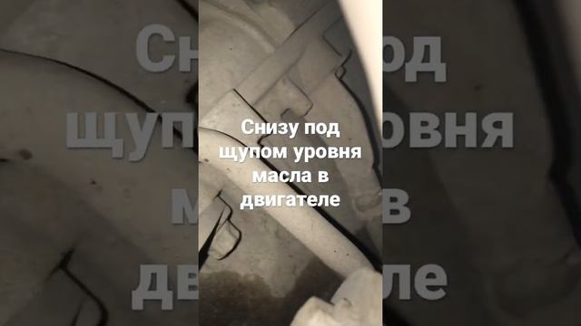 Где находится номер двигателя m276 смотреть онлайн